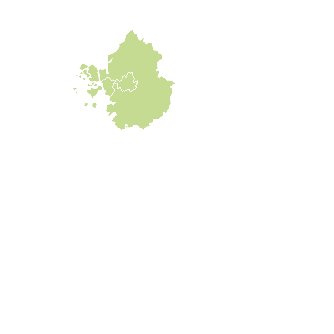 직영팀 일러스트